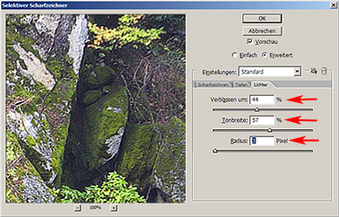 ss09.jpg
